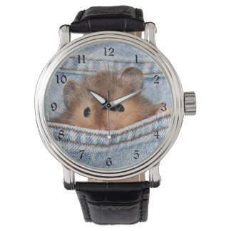 Hamster in blue jeans watch