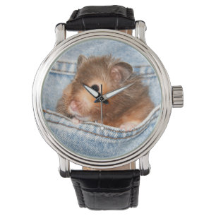 Hamster in blue jeans watch