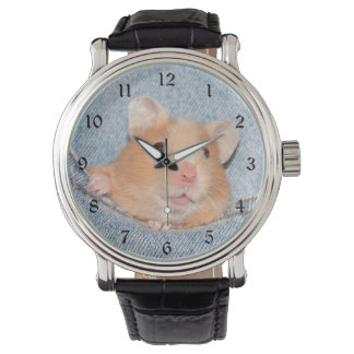 Hamster in blue jeans watch