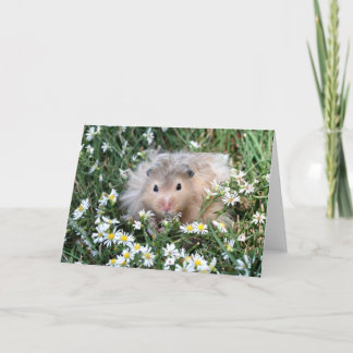 Hamster in flowers card