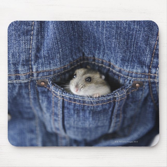 Hamster in pocket mouse mat (Front)