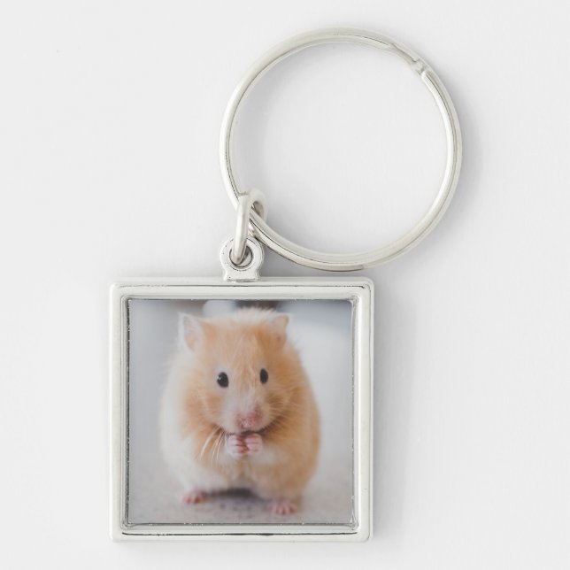 hamster key ring (Front)