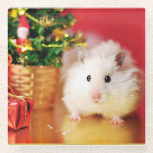 Hamster Kokolinka with Christmas tree Glass Coaster