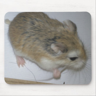 Hamster Mat Mouse Mat
