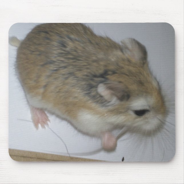 Hamster Mat Mouse Mat (Front)