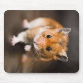 Hamster Mouse Mat