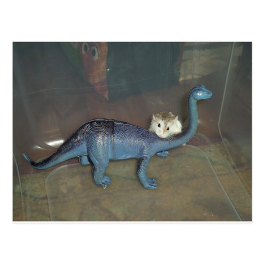Hamster on a dinosaur postcard