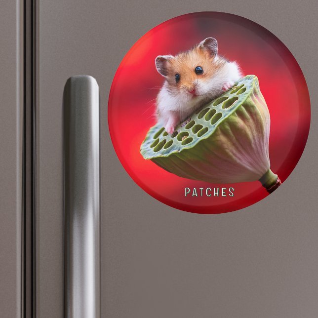 Hamster on Lotus Pod Magnet (Creator Uploaded)