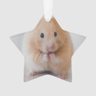 hamster ornament