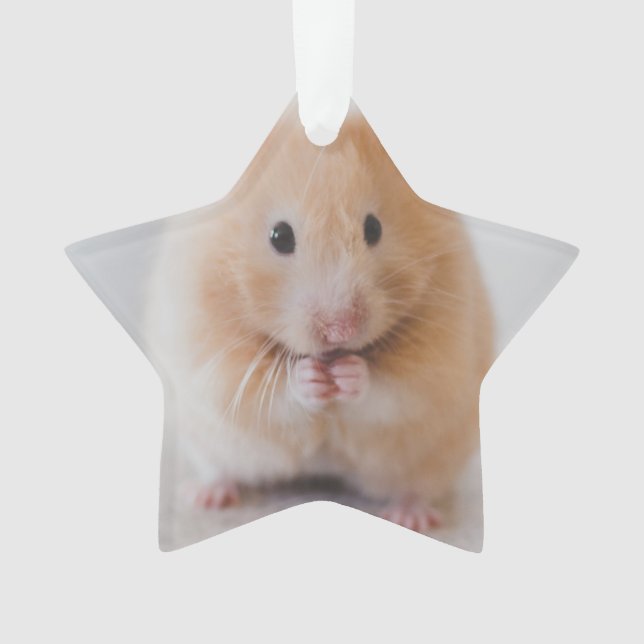 hamster ornament (Front)