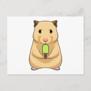 Hamster Popsicle Postcard