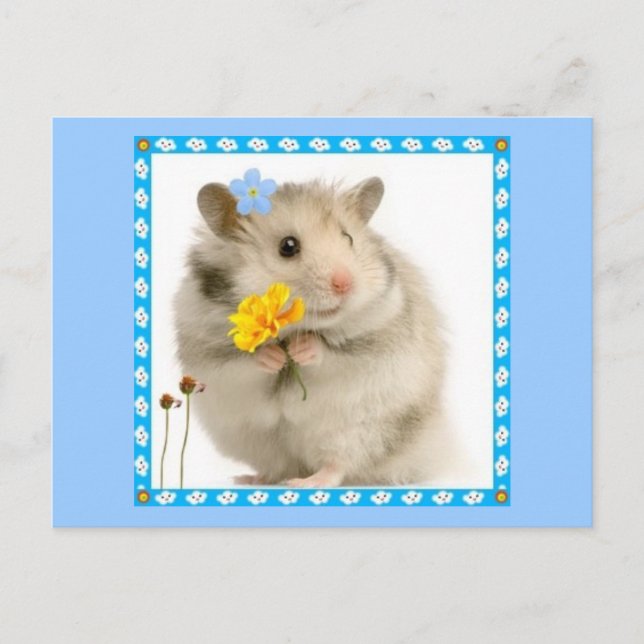 hamster postcard (Front)
