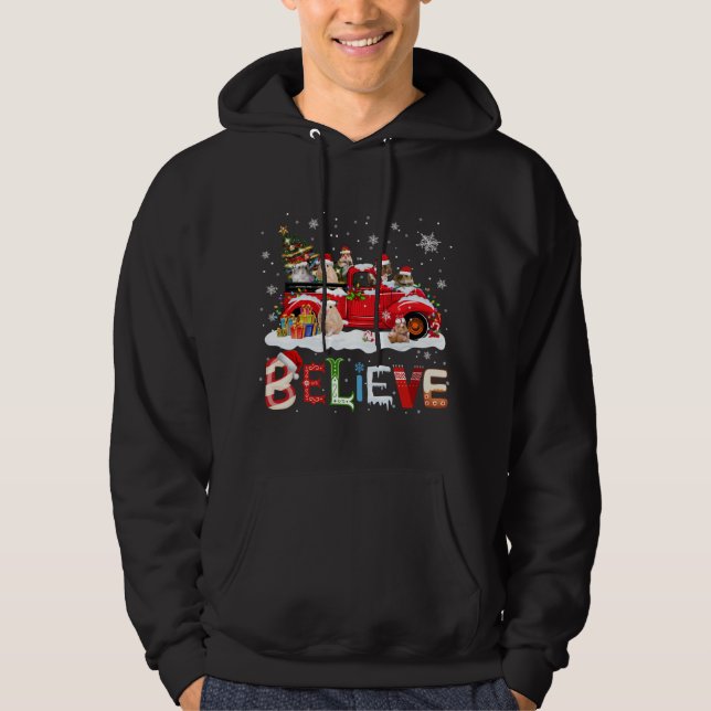 Hamster Riding Red Truck Christmas Tree Believe Sa Hoodie (Front)