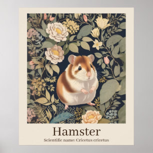 Hamster Scientific Name Animal Poster