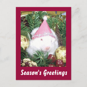 Hamster Season's Greetings Holiday Postcard