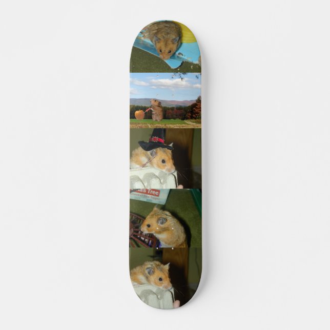 Hamster Skateboard (Front)