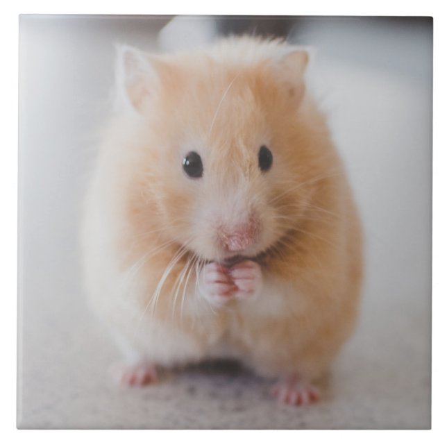 hamster tile (Front)