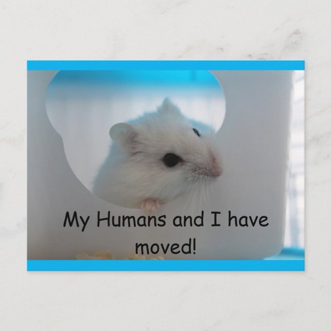 Hamster We Moved Postcard (Front)