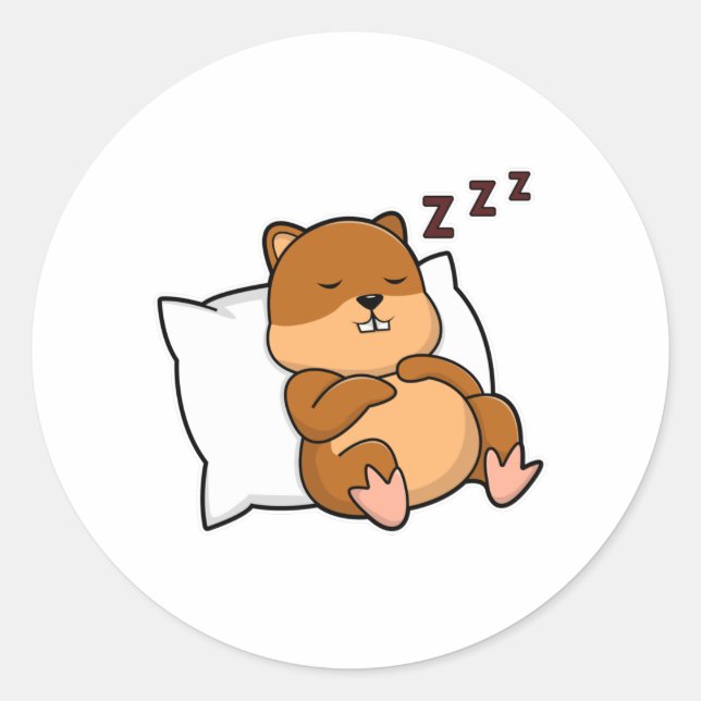 Hamster with Pillow Classic Round Sticker (Front)
