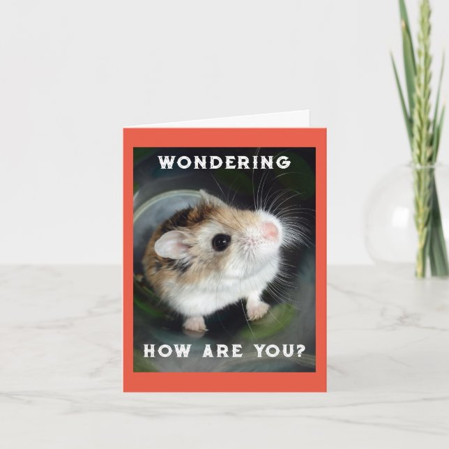 Hamster Wondering Note Card (Front)