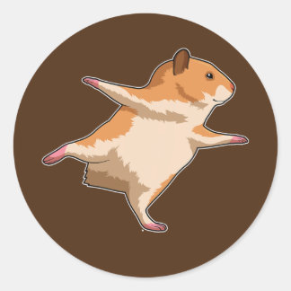 Hamster Yoga Meditation Fitness Classic Round Sticker