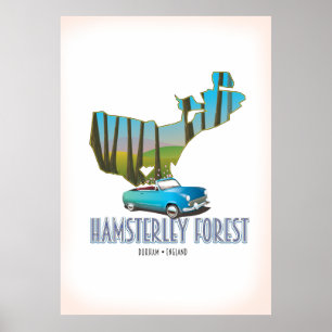 Hamsterley Forest Durham England map Poster
