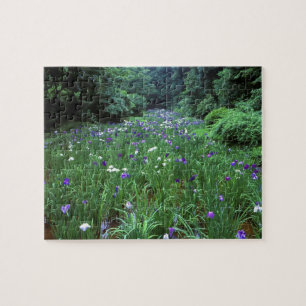 Hana Shobu (Japanese Water Iris), Meiji Shrine, Jigsaw Puzzle