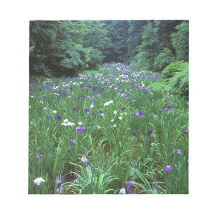 Hana Shobu (Japanese Water Iris), Meiji Shrine, Notepad