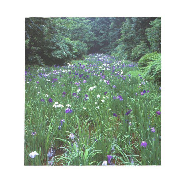 Hana Shobu (Japanese Water Iris), Meiji Shrine, Notepad (Front)