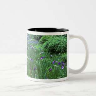 Hana Shobu (Japanese Water Iris), Meiji Shrine, Two-Tone Coffee Mug