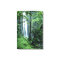 Hanakapiai Falls along the Na Pali Coast, Kauai,