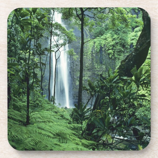Hanakapiai Falls along the Na Pali Coast, Kauai, Coaster (Front)
