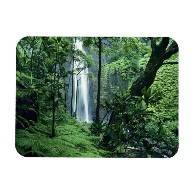 Hanakapiai Falls along the Na Pali Coast, Kauai, Magnet (Horizontal)