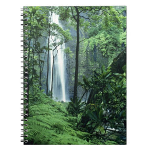 Hanakapiai Falls along the Na Pali Coast, Kauai, Notebook