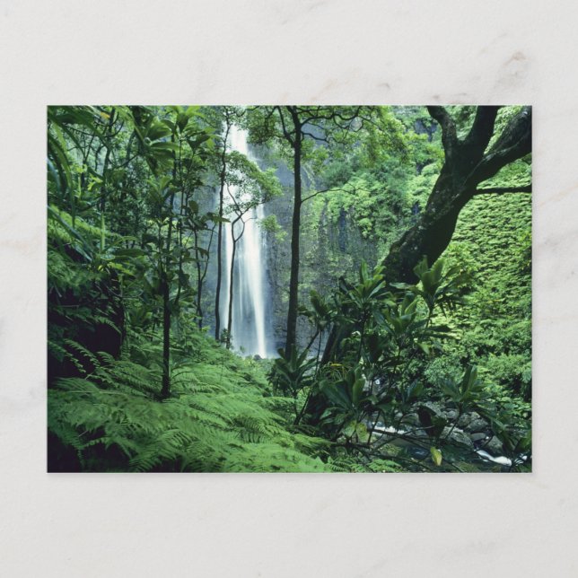 Hanakapiai Falls along the Na Pali Coast, Kauai, Postcard (Front)
