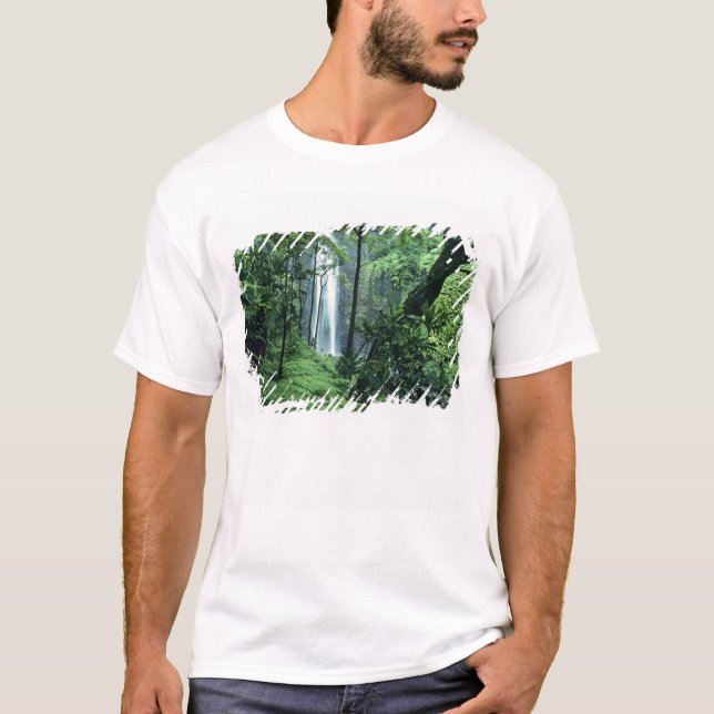 Hanakapiai Falls along the Na Pali Coast, Kauai, T-Shirt (Front)