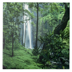 Hanakapiai Falls along the Na Pali Coast, Kauai, Tile