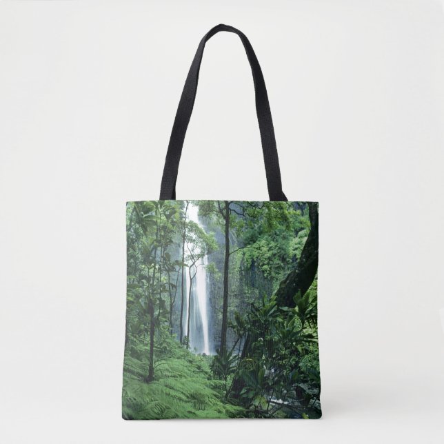 Hanakapiai Falls along the Na Pali Coast, Kauai Tote Bag (Front)