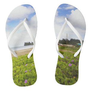 Hanalei Bay, Kauai Hawaii Beach Flip Flops