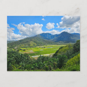 Hanalei Valley Lookout Postcard