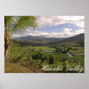 Hanalei Valley Poster
