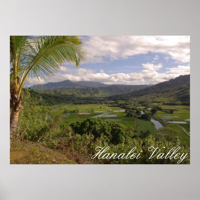 Hanalei Valley Poster (Front)
