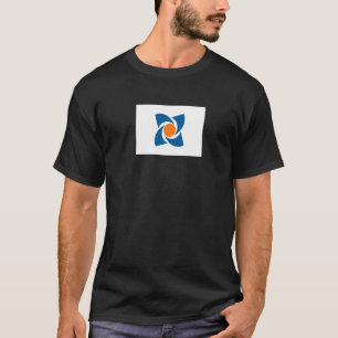 Hanamaki Japan Flag T-Shirt