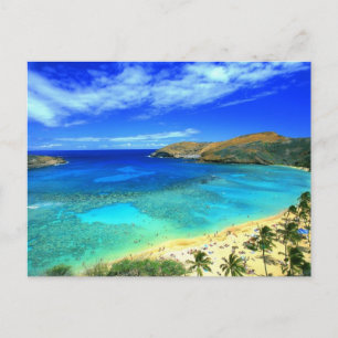 Hanauma Bay Beach Aloha! Postcard
