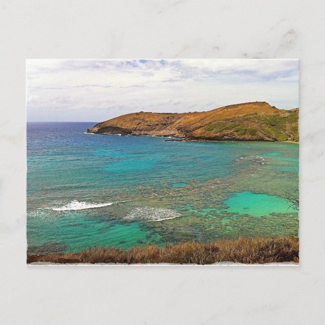 Hanauma Bay, Hawai'i Postcard (Front)