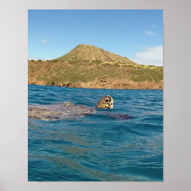 Hanauma Bay Hawaii Poster (Front)