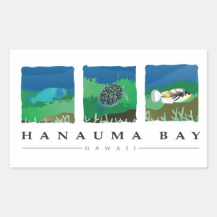Hanauma Bay Hawaii Rectangular Sticker