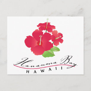 Hanauma Bay Hawaii - Red Hibiscus Flower Postcard