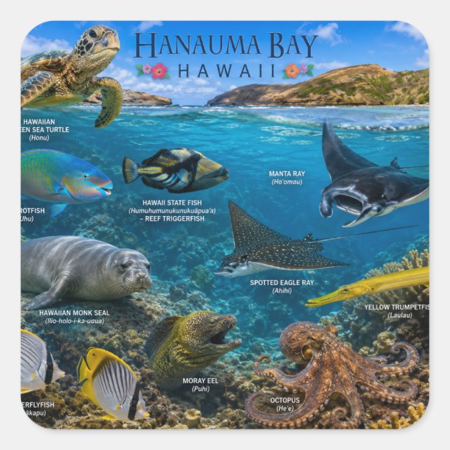 Hanauma Bay Hawaii Square Sticker (Front)