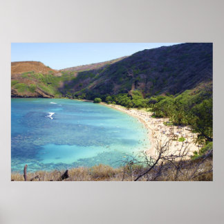 Hanauma Bay Poster